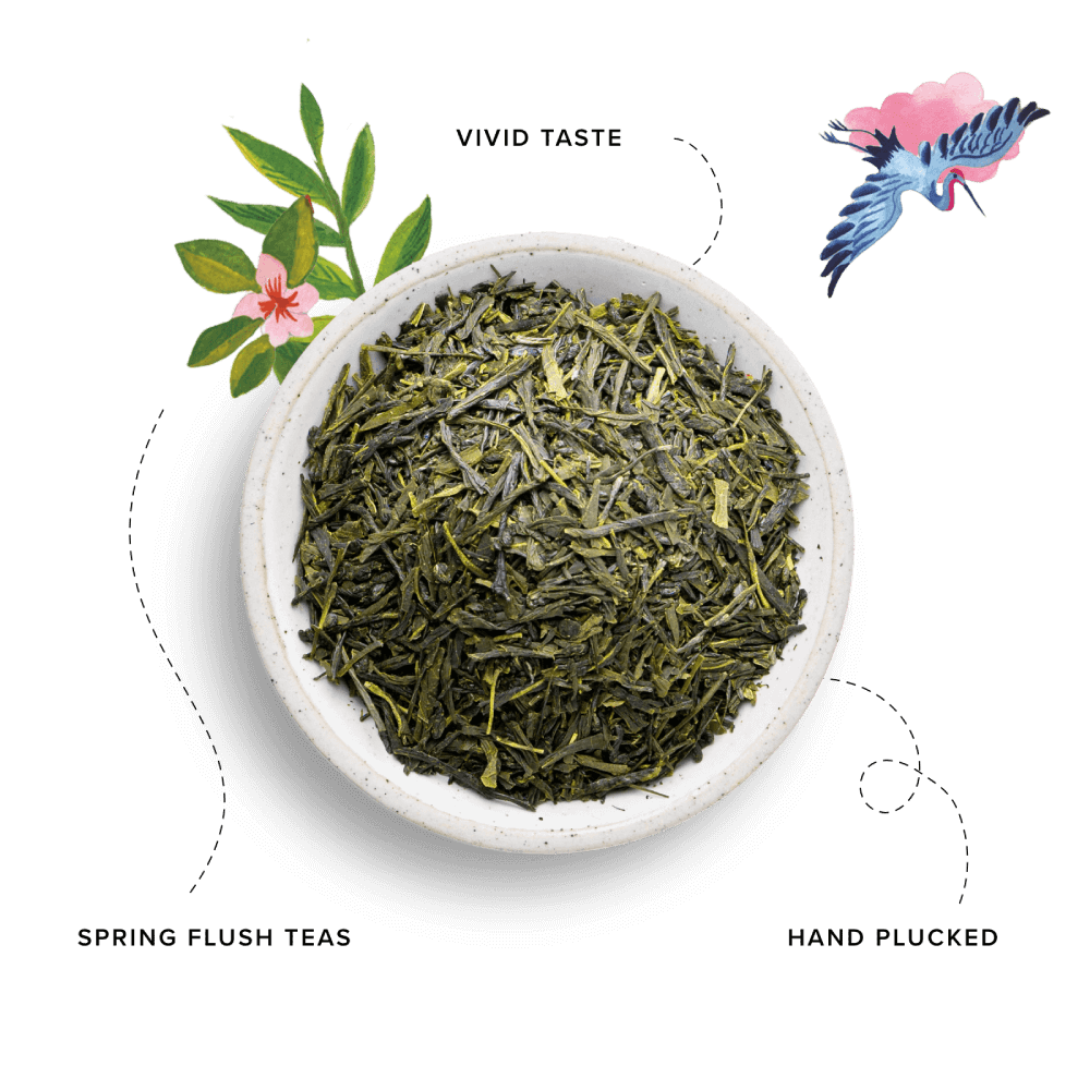 96° Japanese Sencha