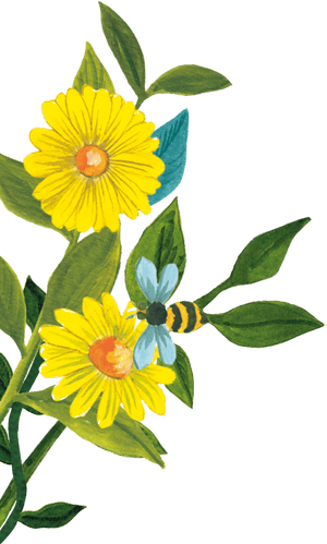 96º Flower And Bee Illustration