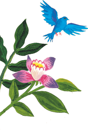 96º Flower And Blue Bird Illustration