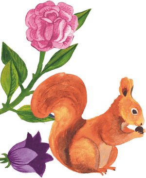 96º Flower And Squirrel Illustration