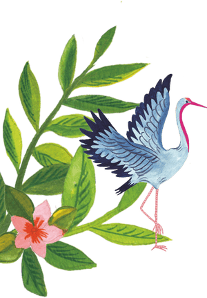96º Stork Bird Illustration