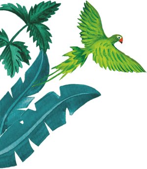 96º Green Parrot Illustration