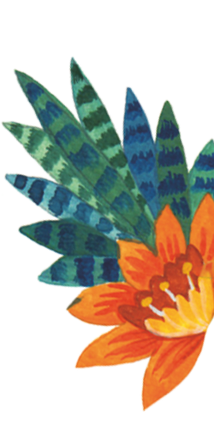 96° Flower Illustration