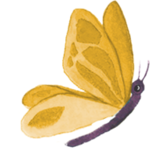 96º Butterfly Illustration