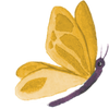 96º Butterfly Illustration